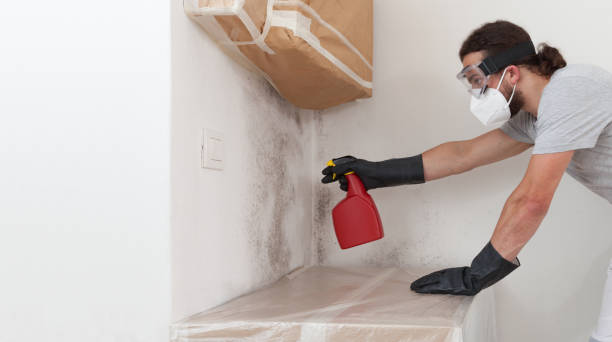 Professional Bathroom Mold Removal technician working in Islip, NY